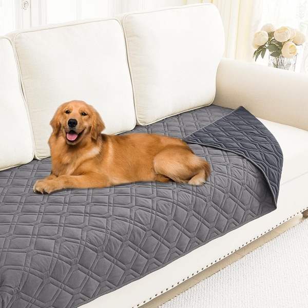 sofa cover, furniture protector, dog sofa cover, couch protector, pet furniture cover, product demo, lifestyle, minimalist, calm, trustworthy, neutral